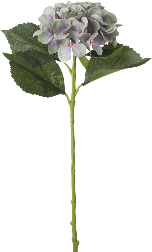 Koristeoksa Hortensia 51 cm sininen