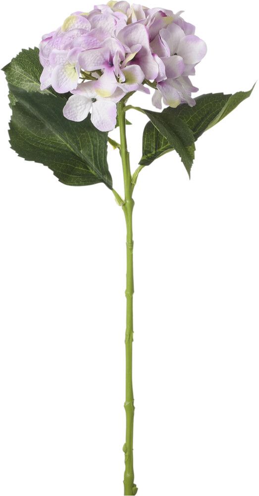Koristeoksa Hortensia 51 cm liila