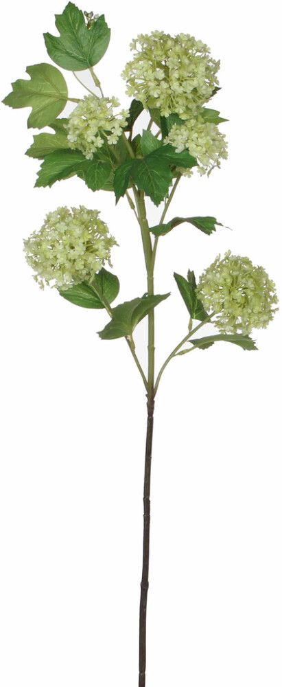 Koristeoksa Heiden 66 cm