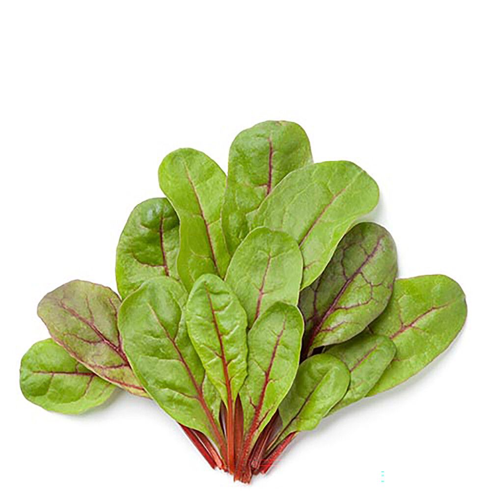 Pikkukuva 2