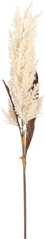 Koristeoksa Pampaheinä 88 cm