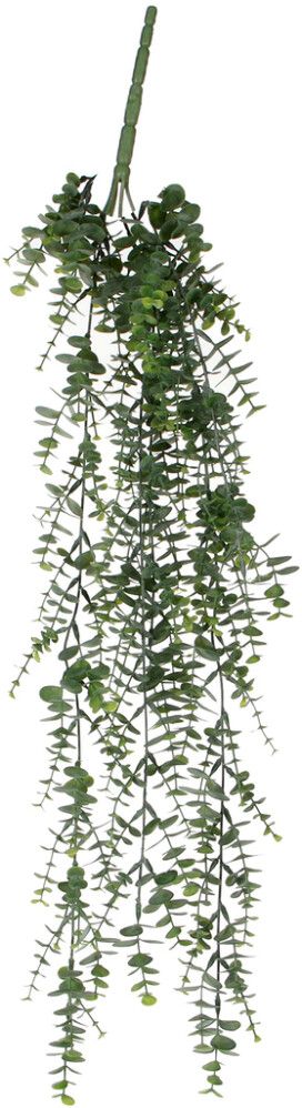 Silkkikasvi Eucalyptus 93 cm