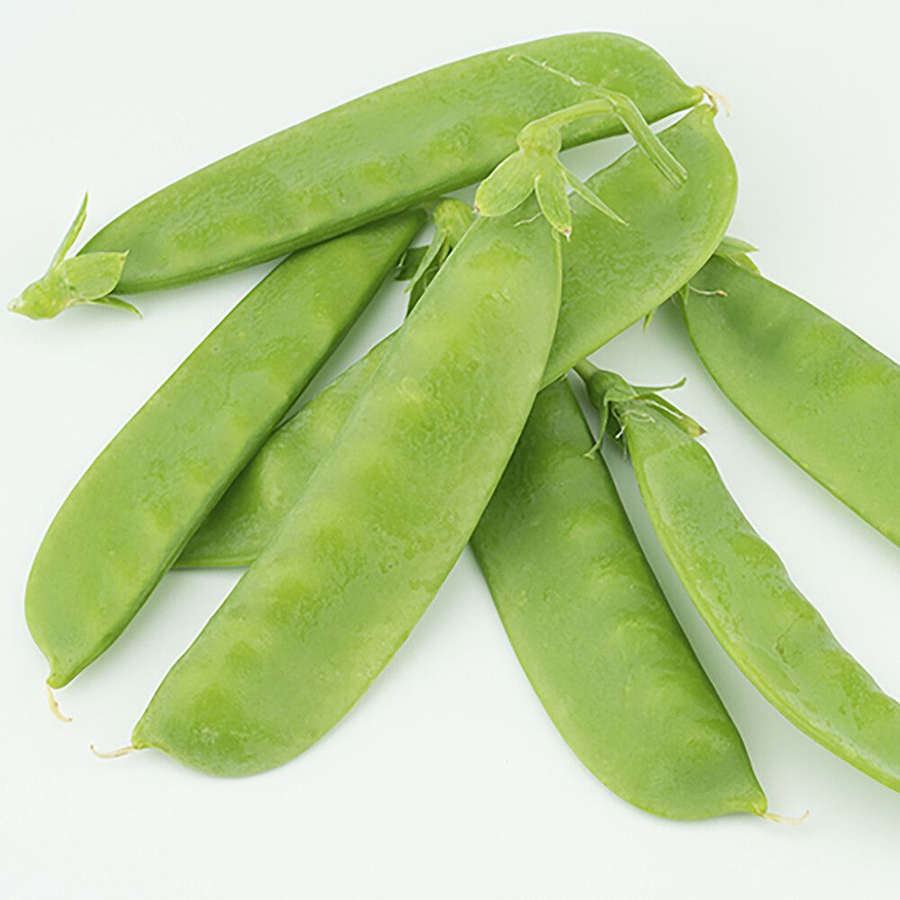 Sokeriherne Kotimainen Ø 9 cm