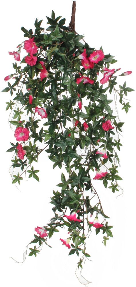 Silkkikasvi Petunia-amppeli 80 cm pinkki