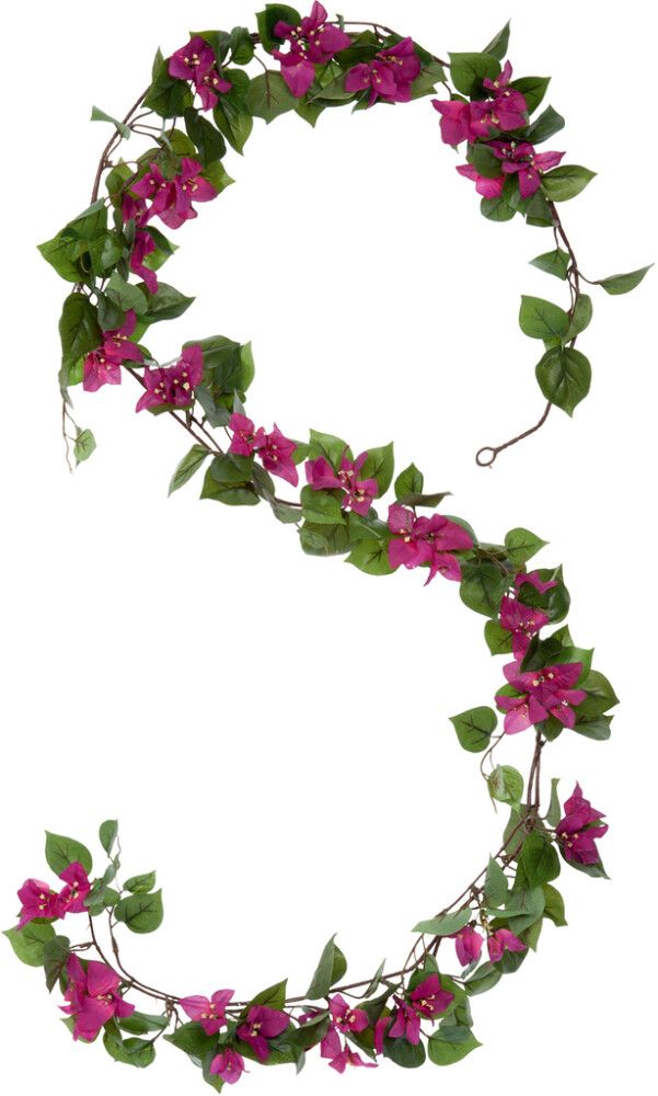 Silkkikasvi Ihmeköynnös 180 cm pinkki