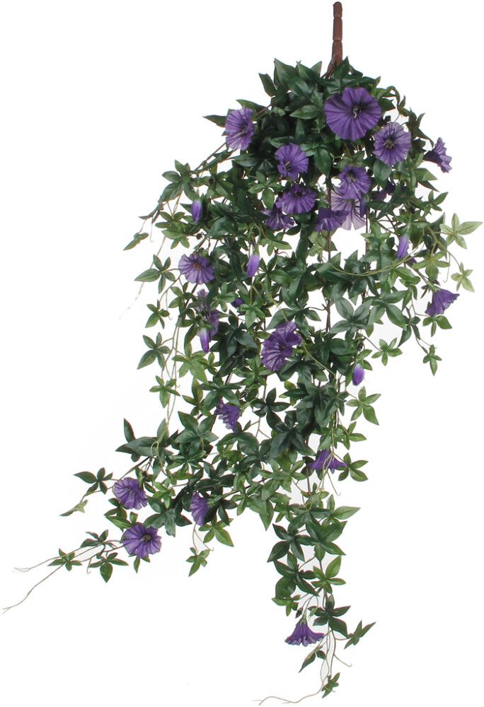 Silkkikasvi Petunia-amppeli 80 cm violetti