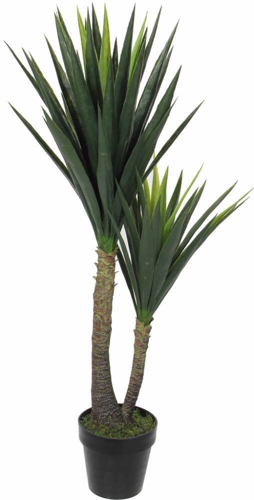 Silkkikasvi Jukkapalmu 2-runkoinen 120 cm