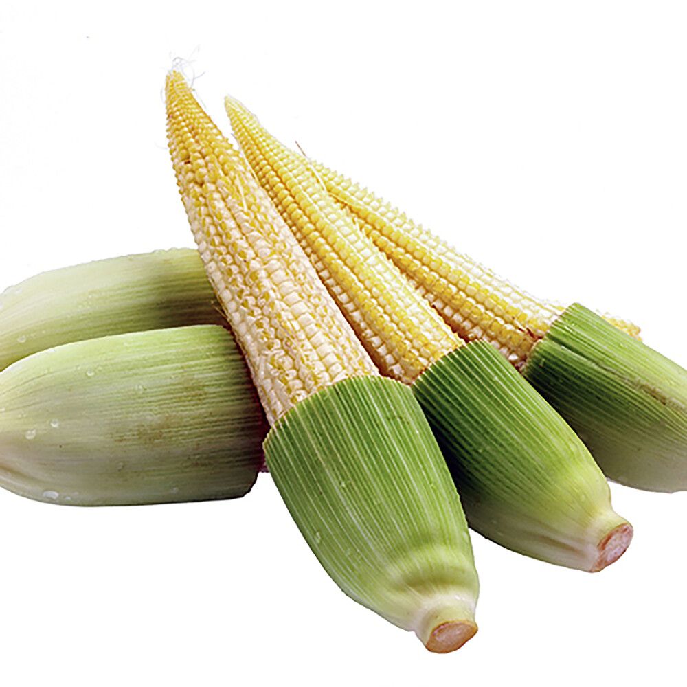 Pikkukuva 2