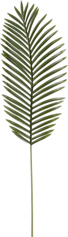 Silkkikasvi Palmun lehti 102 cm