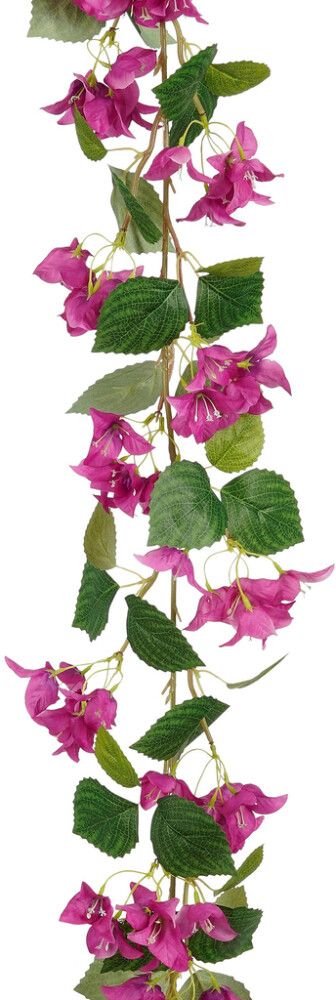 Silkkikasvi Ihmeköynnös 180 cm