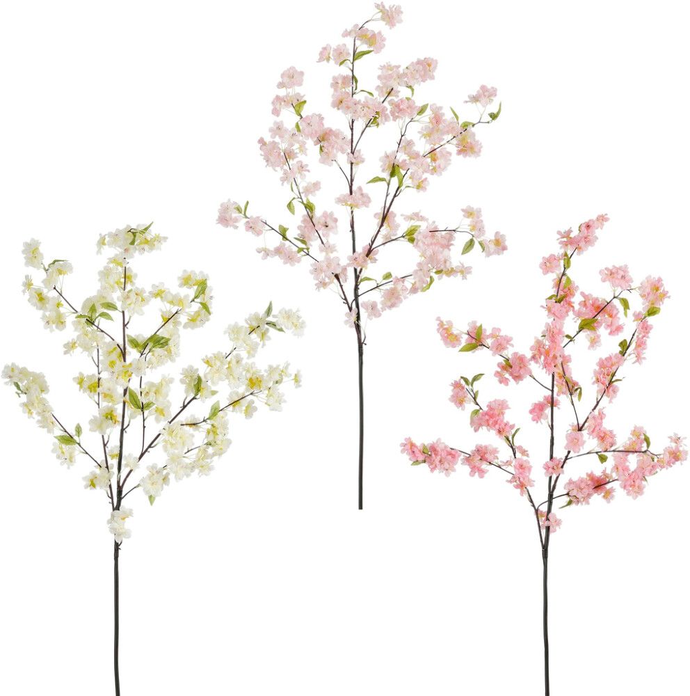 Silkkikasvi Kirsikanoksa lajitelma 120 cm