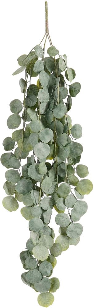 Silkkikasvi Eucalyptus 94 cm
