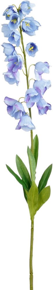 Silkkikasvi Muurikello sininen 94 cm