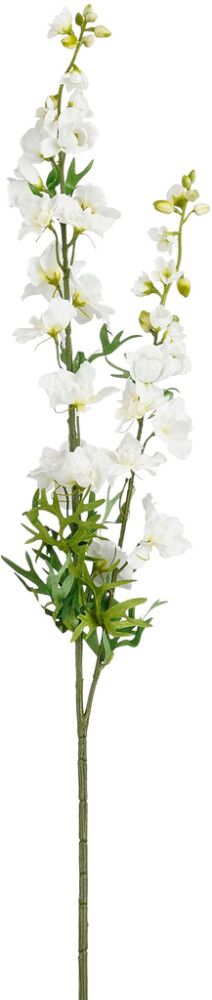 Silkkikasvi Kukonkannus valkoinen 98 cm