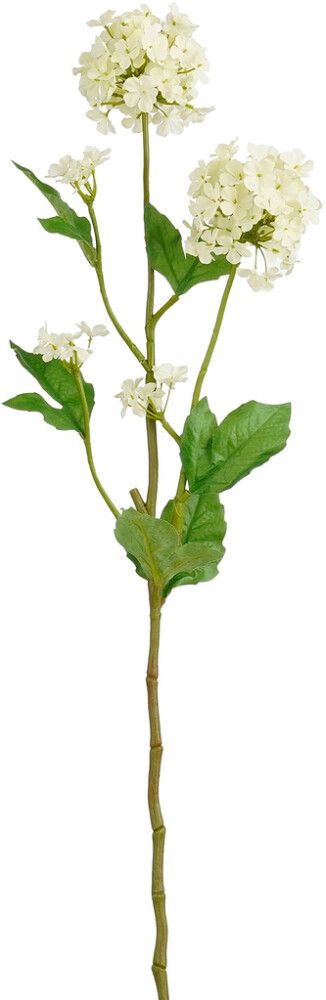 Silkkikasvi Heiden oksa valkoinen 71,5 cm