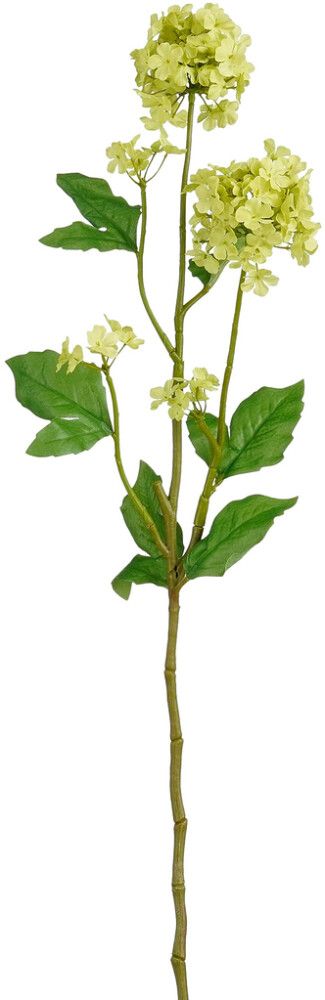 Silkkikasvi Heiden oksa vaaleanvihreä 71,5 cm