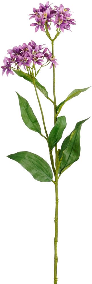 Silkkikasvi Epidendrum violetti 75 cm