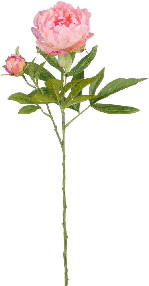 Silkkikasvi Pionin oksa vaaleanpunainen 66 cm