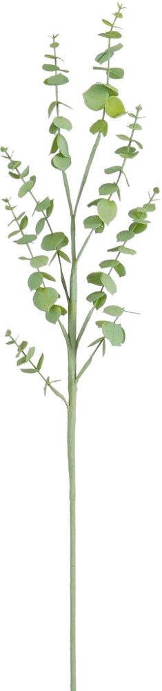 Silkkikasvi Eucalyptuksen oksa 90 cm