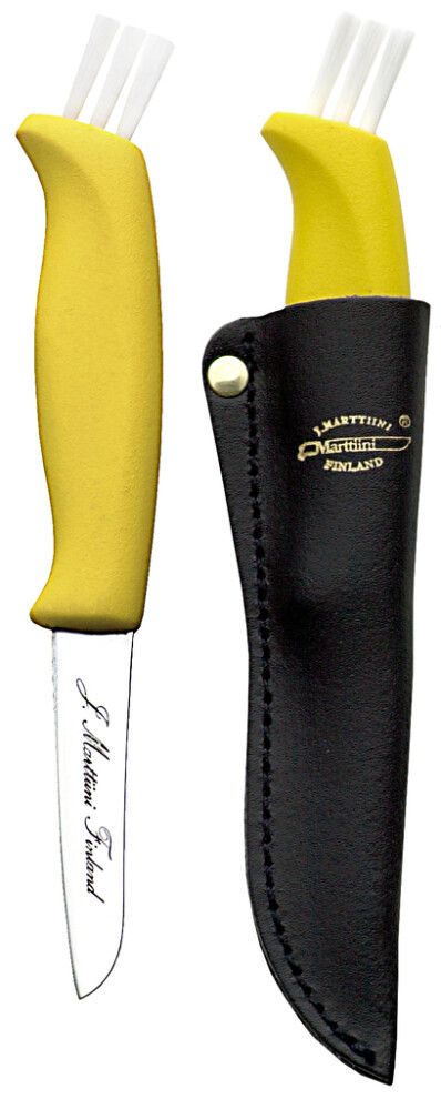 Sieniveitsi Marttiini