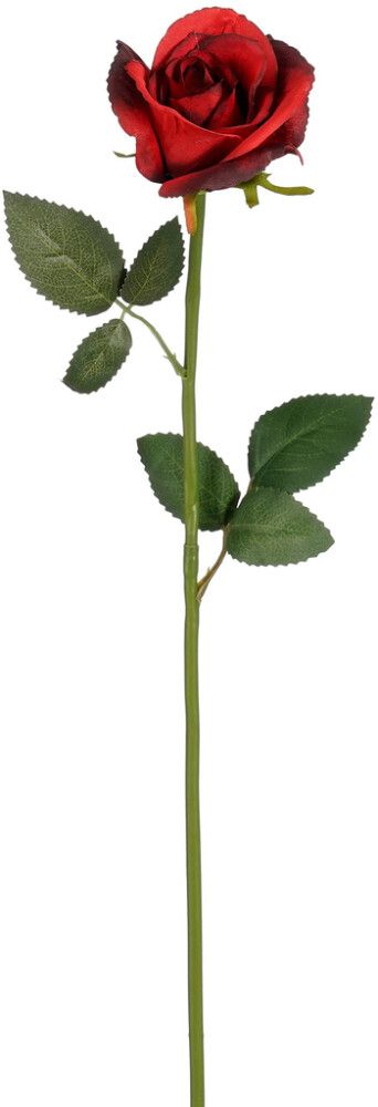 Silkkikasvi Ruusun oksa punainen 62 cm