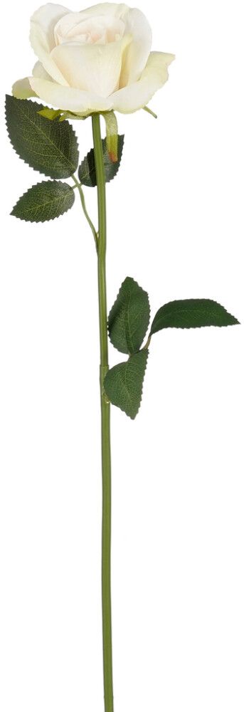 Silkkikasvi Ruusun oksa kermanvalkoinen 62 cm