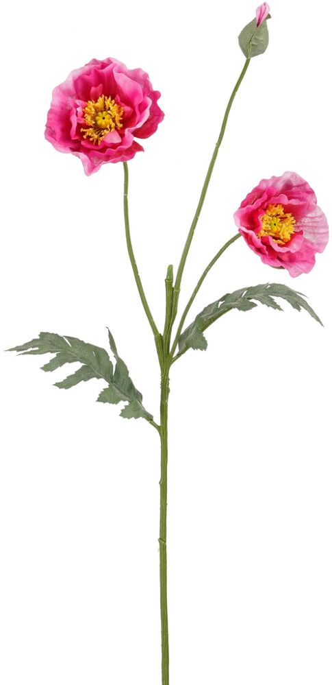 Silkkikasvi Unikko Fuksia 73 cm