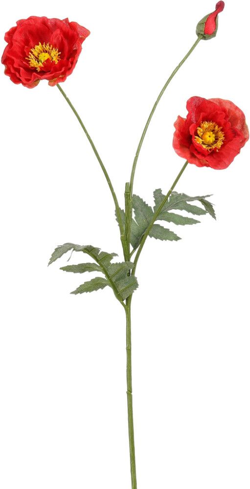 Silkkikasvi Unikko punainen 73 cm