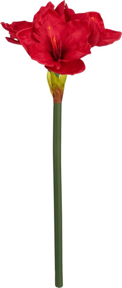 Silkkikasvi Amaryllis punainen 56 cm