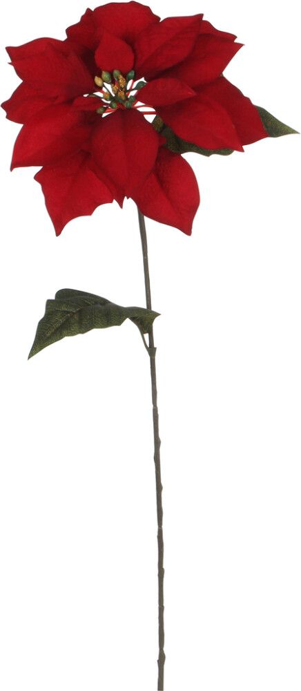 Silkkikasvi Joulutähti 71 cm punainen
