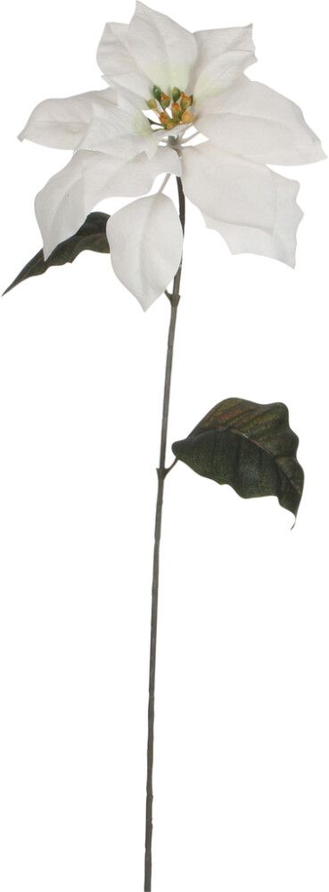 Silkkikasvi Joulutähti 71 cm valkoinen