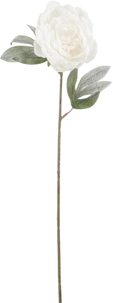 Silkkikasvi Pioni valkoinen 70 cm