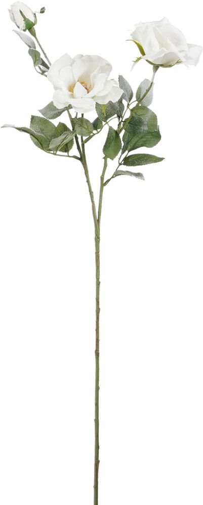Silkkikasvi Ruusu valkoinen 69 cm