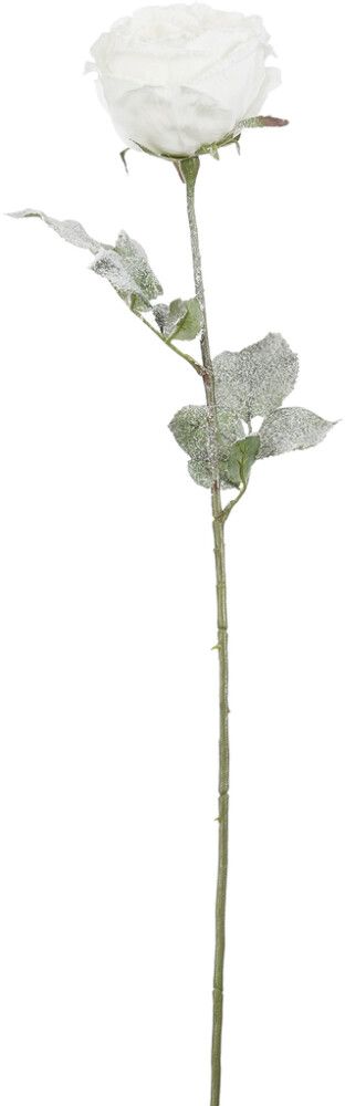 Silkkikasvi Ruusu valkoinen 66 cm