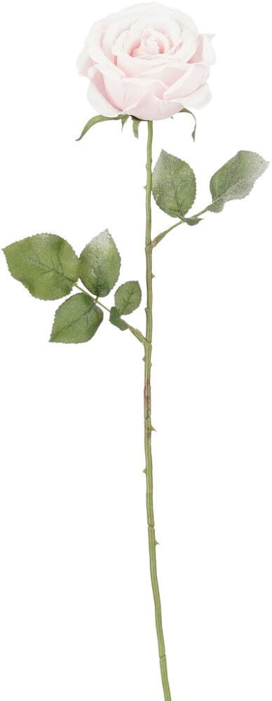 Silkkikasvi Ruusu pinkki 64 cm