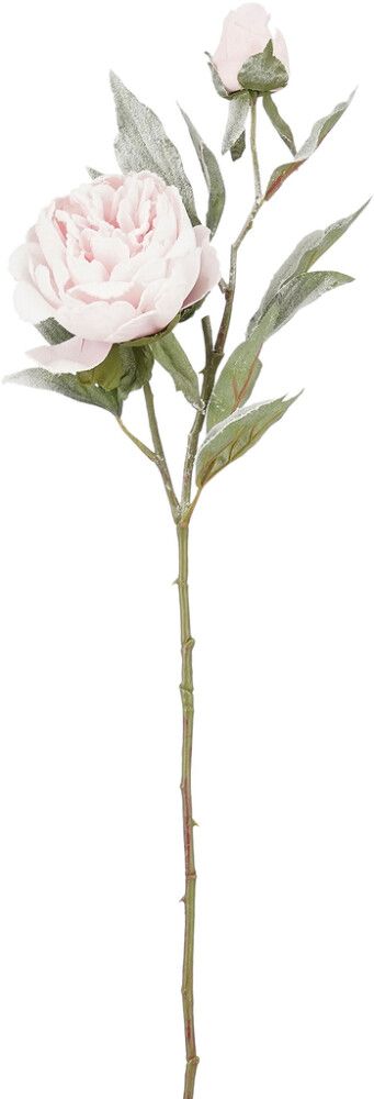 Silkkikasvi Pioni pinkki 70 cm