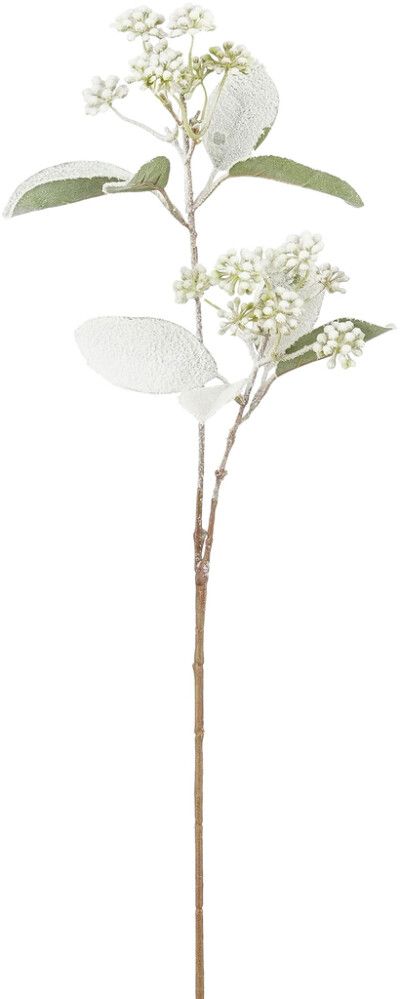 Silkkikasvi Kanukka vihreä 71 cm