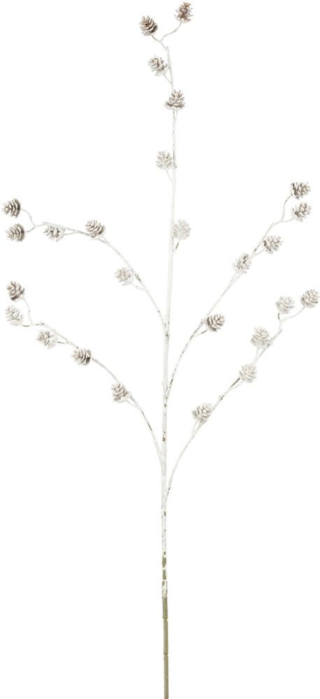 Koristeoksa mänty 78 cm