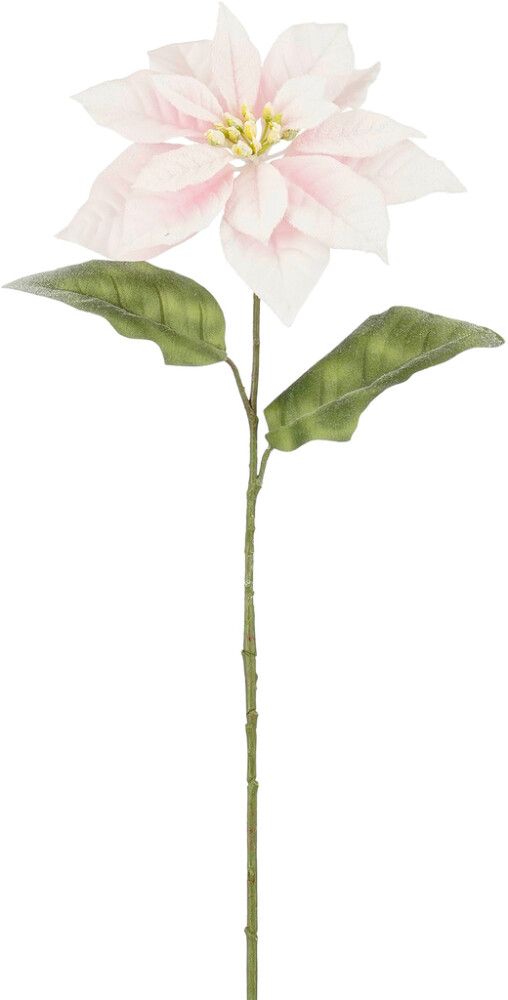 Silkkikasvi Joulutähti pinkki 65 cm