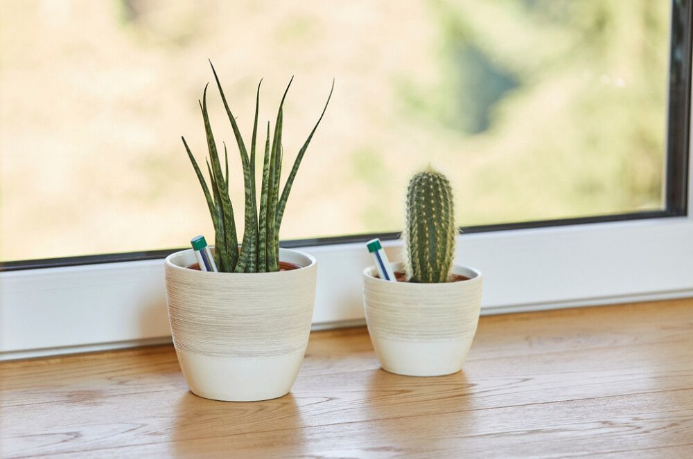 Savirouhe Seramis kaktuksille ja mehikasveille 2,5 l