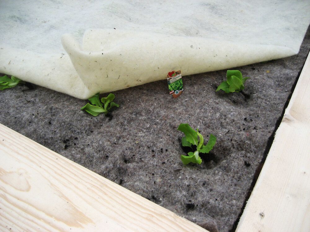 Lavakaulusmatto BioProffa 80 x 120 cm