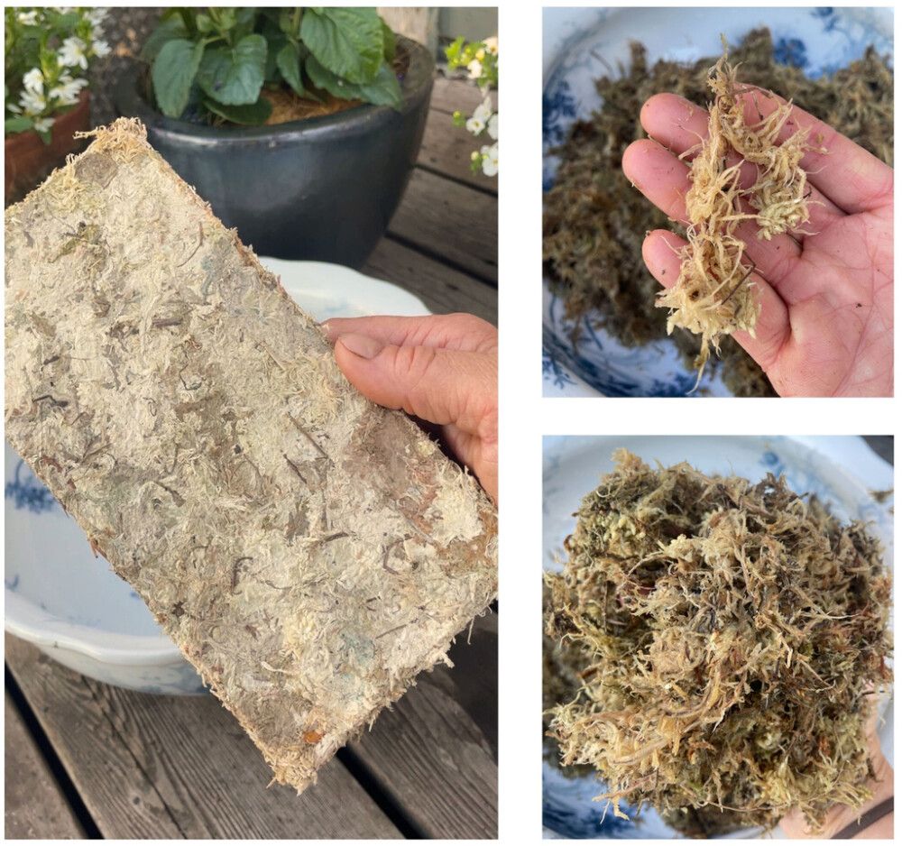 Rahkasammallevy Bioproffa 100 g