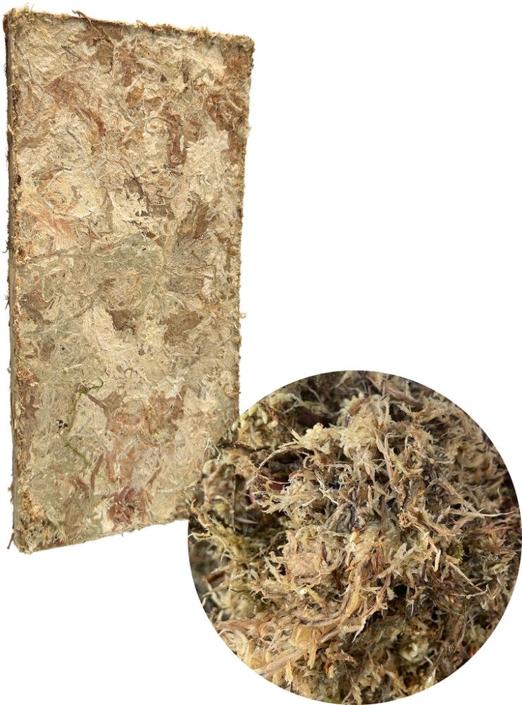 Rahkasammallevy Bioproffa 100 g