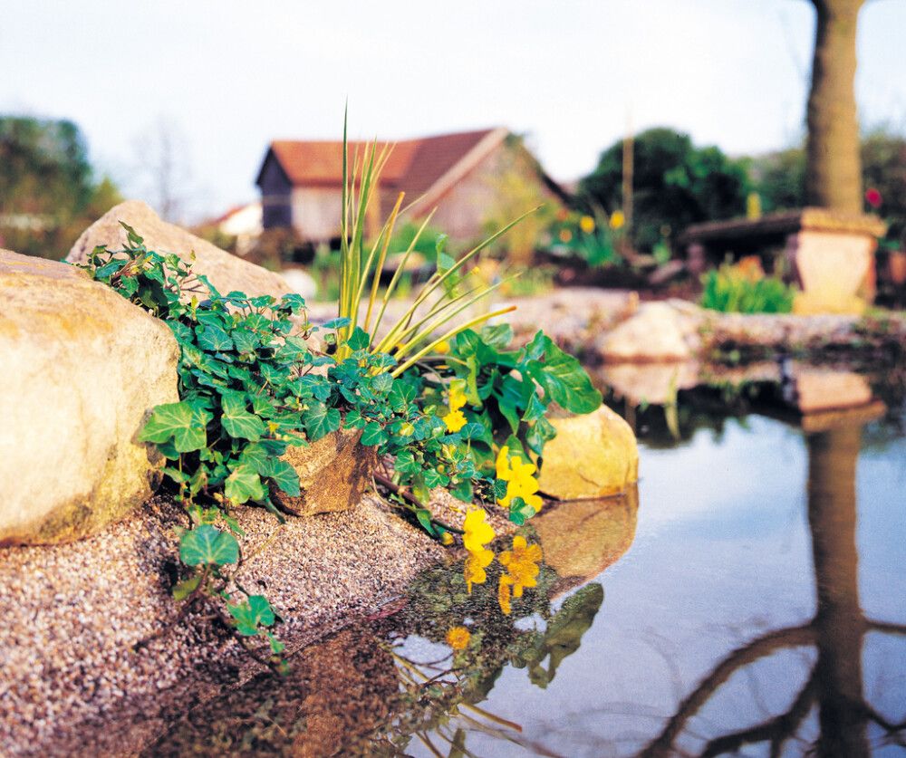 Puromuovi  0,6 m (per metri)