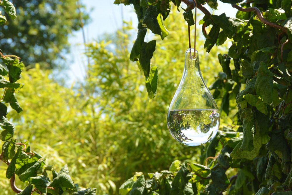 Kärpäskarkotin lasipisara