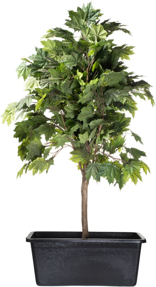 Valmisallas Victoria Quadro3 150 l