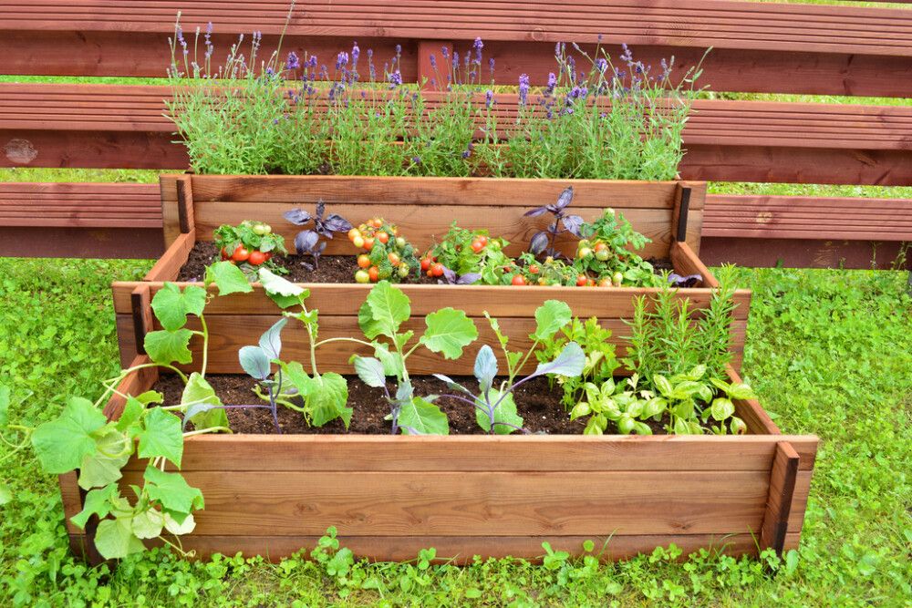 Istutuslaatikko 120 x 120 x 40 cm korotettu