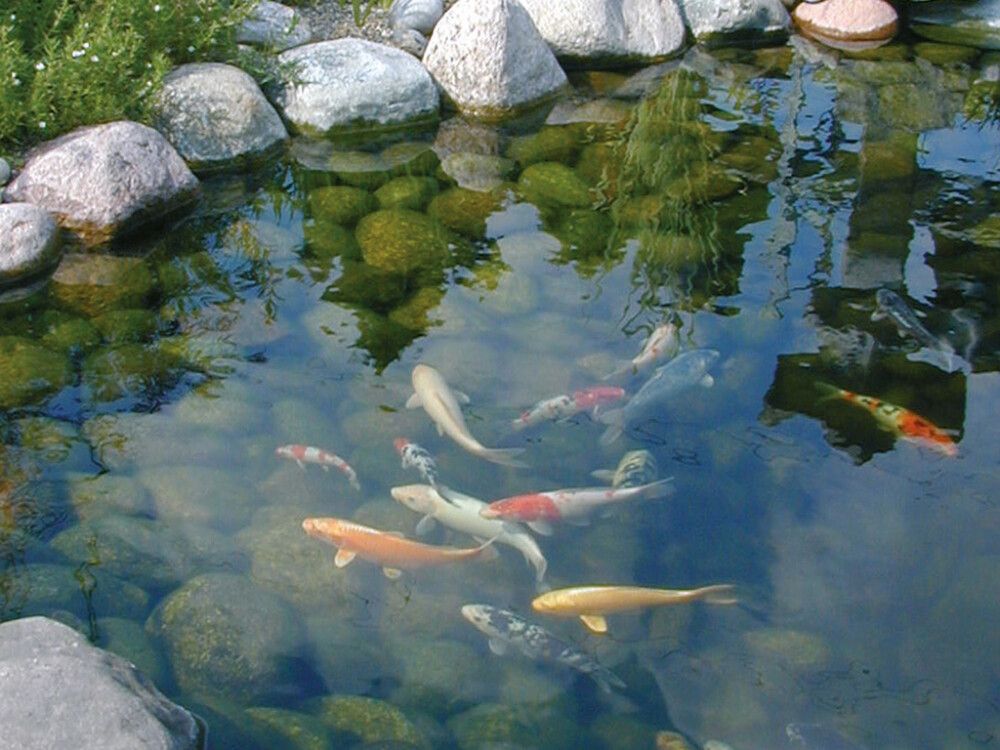 Lammenkirkastuspallot Aqua Clearpro Gel Balls 500 g