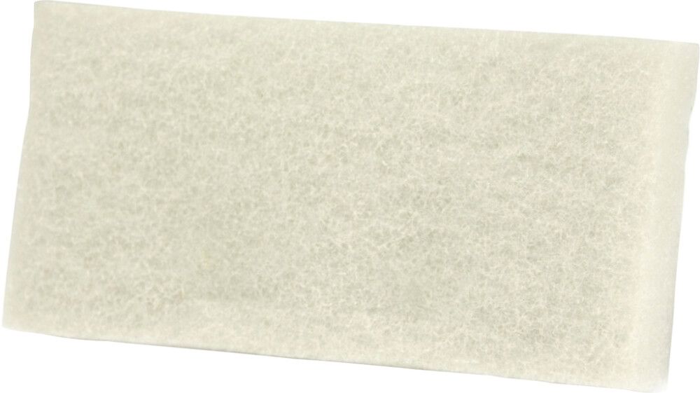 Laudepesimen Hankaussieni Aino