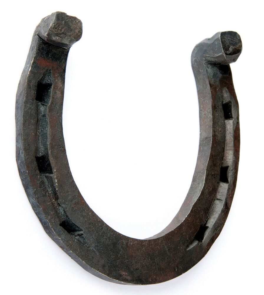 Hevosenkenkä Saarema Sepad